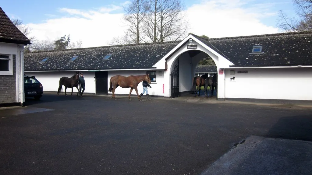 Photo of the Irish National Stud, the venue. Not a photo of this event.