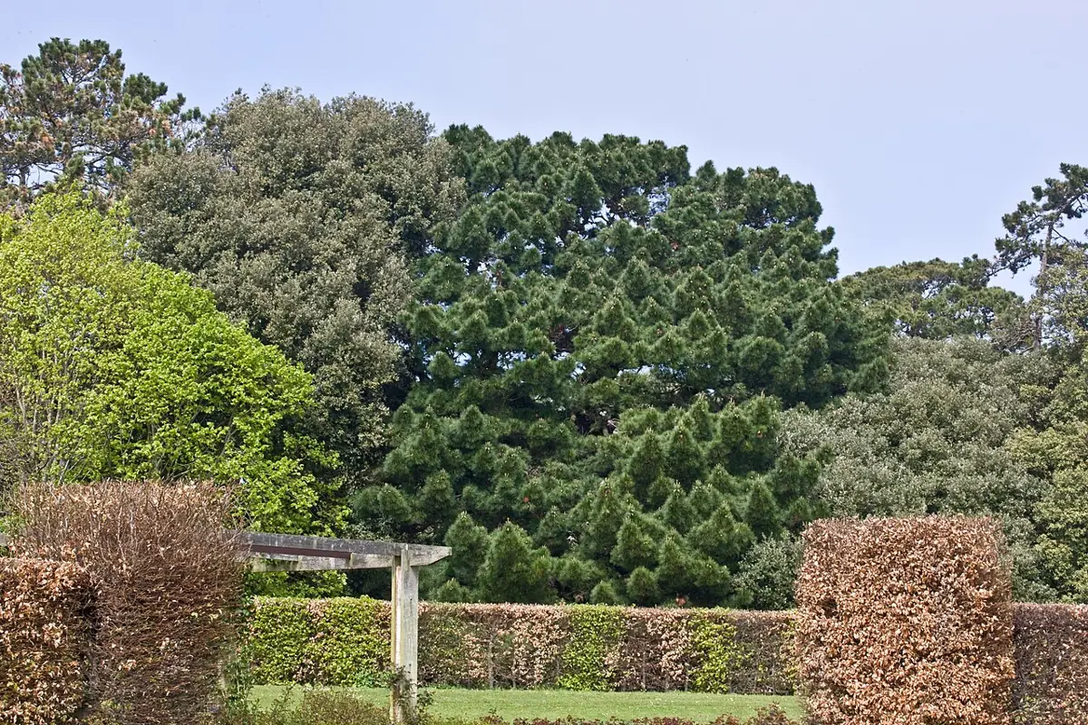 Photo of St Anne's Park